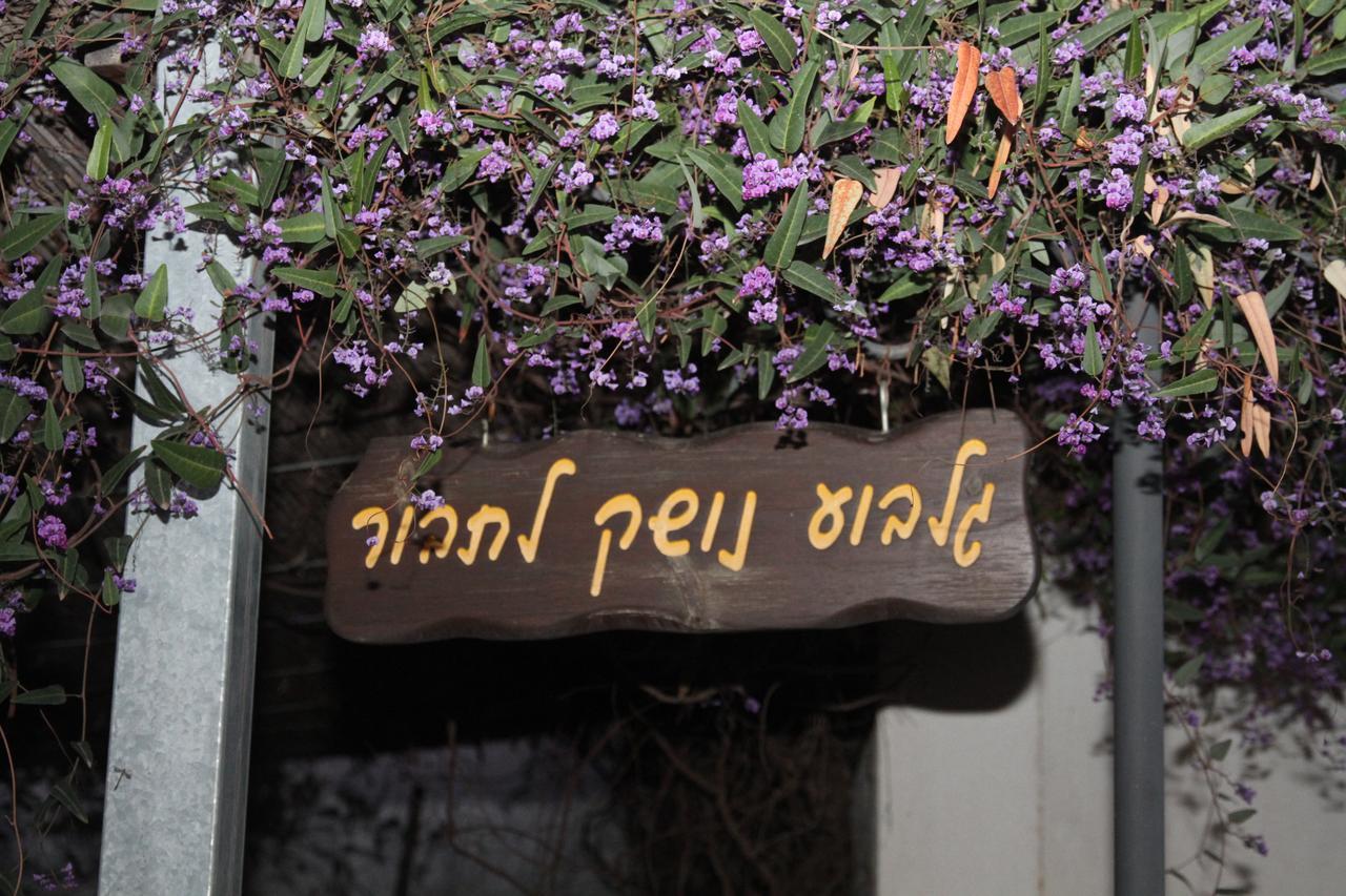 Villa Gilboa Noshek Latavor Bet HaShitta Exterior foto